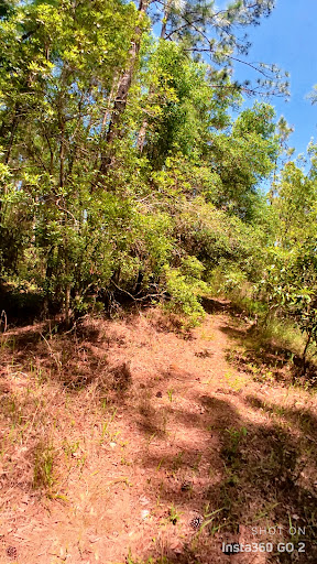 Nature Preserve «Conner Preserve», reviews and photos, 22500 FL-52, Land O Lakes, FL 34637, USA