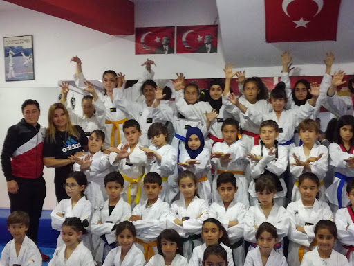 Istiklal Taekwondo Spor Kulübü
