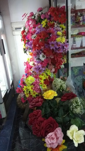Otoño Flores - Centro comercial