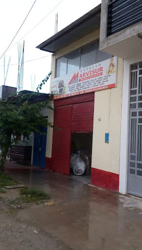 Opiniones de Expreso Marvisur Nueva Cajamarca en Nueva Cajamarca - Servicio de transporte