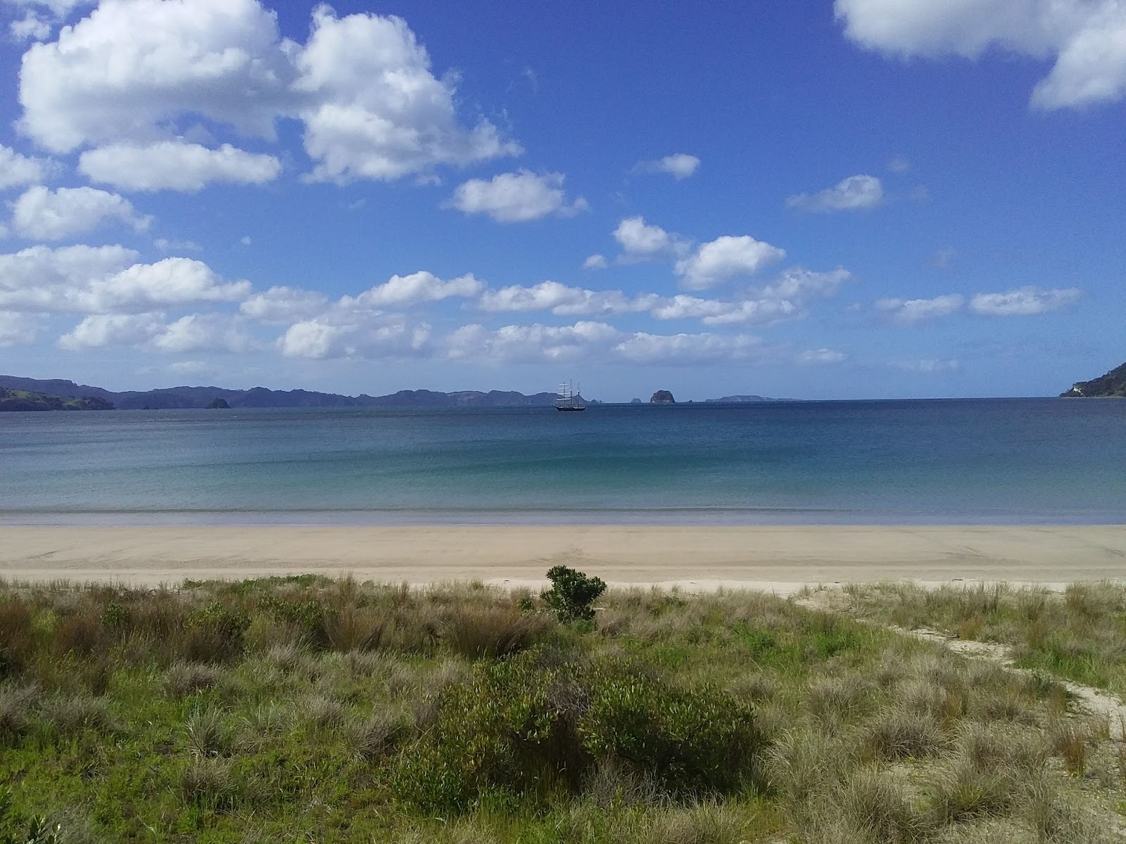 Foto av Cooks Beach och dess vackra landskap