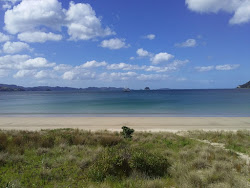 Foto av Cooks Beach och dess vackra landskap