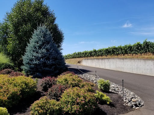 Winery «Hawks View Cellars», reviews and photos, 20210 SW Conzelmann Rd, Sherwood, OR 97140, USA