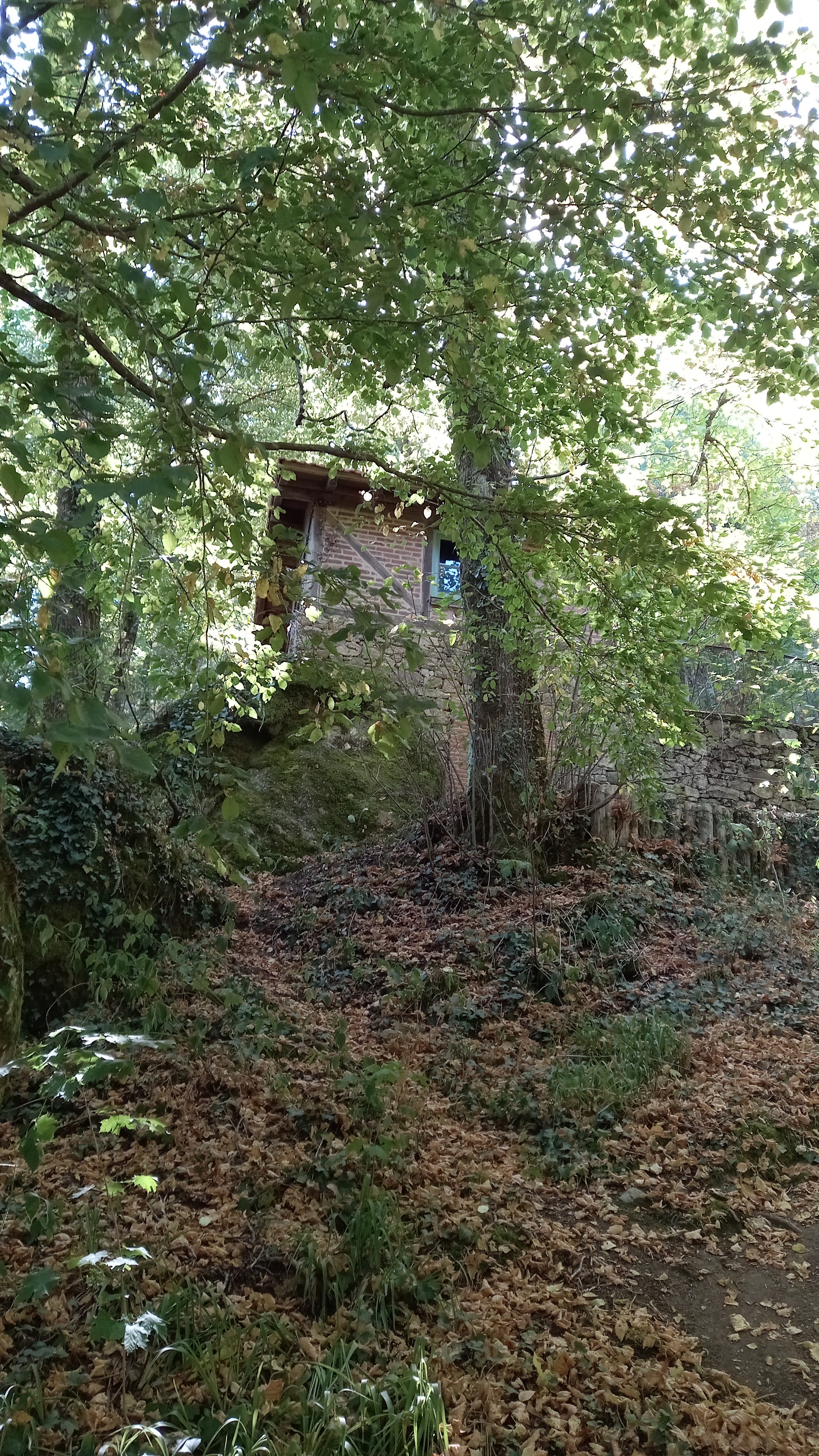 Photo n° 1 de l'avis de FERNANDEZ.N fait le 14/08/2022 à 13:52