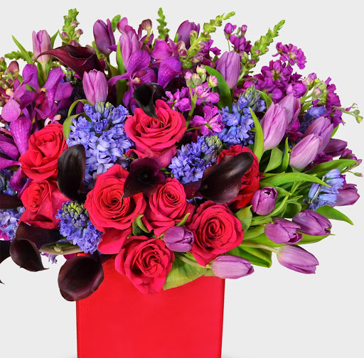 Florist «Dr. Delphinium Designs & Events», reviews and photos, 5806 W Lovers Ln, Dallas, TX 75225, USA