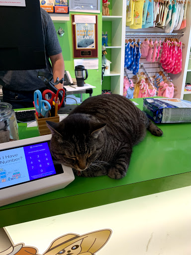 Pet Groomer «The Pet Set - Buckhead», reviews and photos, 2480 Briarcliff Rd NE #3, Atlanta, GA 30329, USA