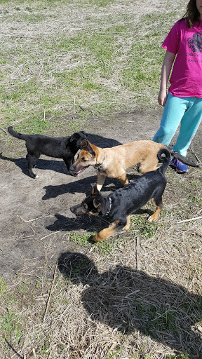 Dog Park «Bunker Hills Dog Park», reviews and photos, 1620 133rd Ave NW, Coon Rapids, MN 55448, USA
