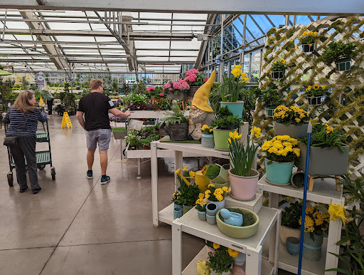 Garden Center «Homestead Gardens», reviews and photos, 743 Central Ave, Davidsonville, MD 21035, USA