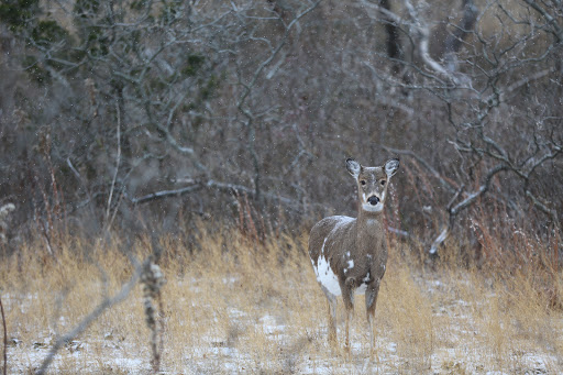 Recreation Center «Sandy Hook - Gateway National Recreation Area», reviews and photos, 128 S Hartshorne Dr, Highlands, NJ 07732, USA