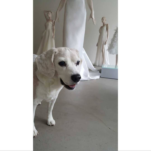 Bridal Shop «Vwidon Bridal Boutique», reviews and photos, 360 W Superior St, Chicago, IL 60654, USA