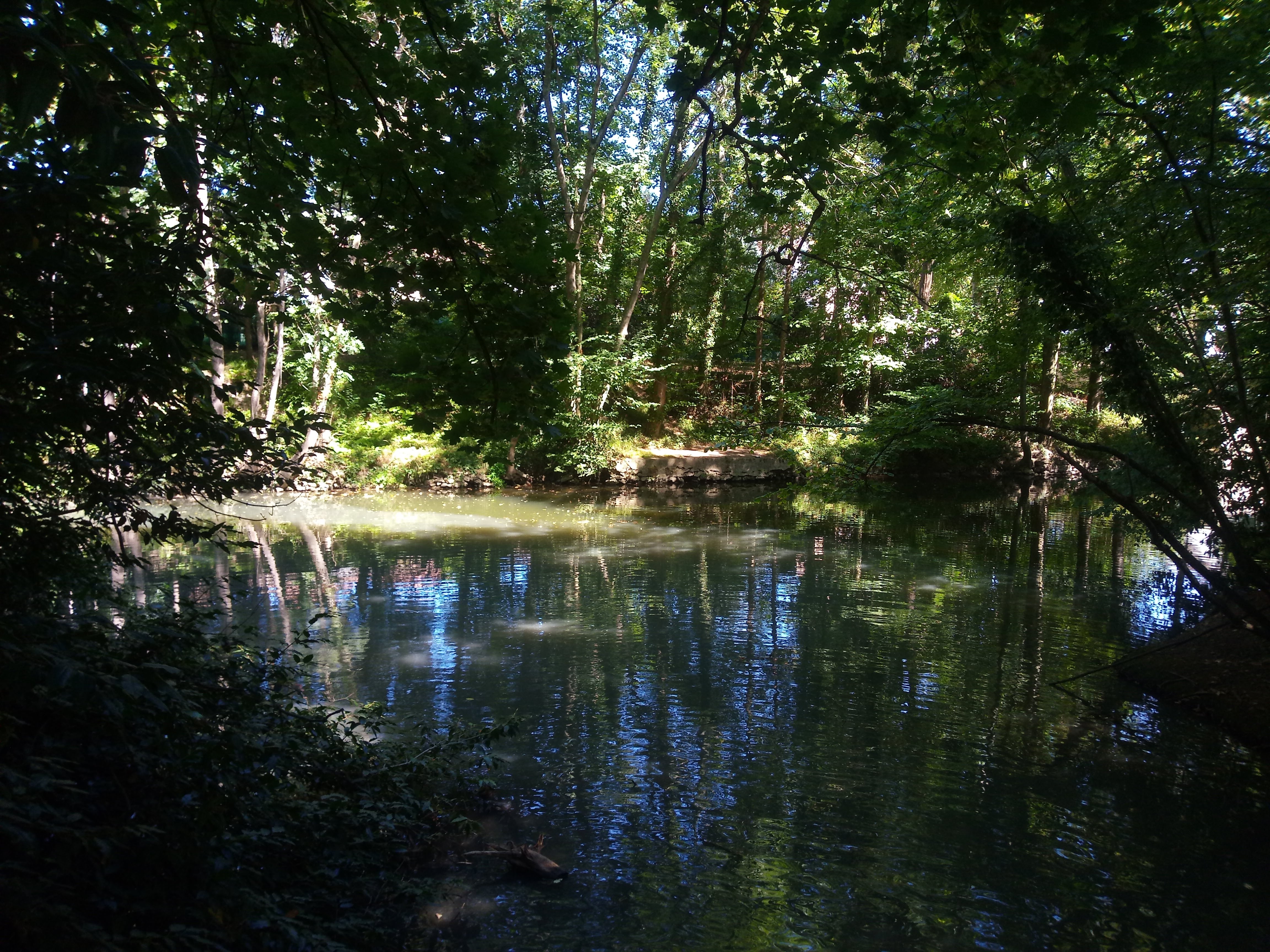 Photo n° 8 de l'avis de Joelle.O fait le 24/08/2020 à 16:05