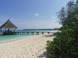 Safari Island'in fotoğrafı çok temiz temizlik seviyesi ile