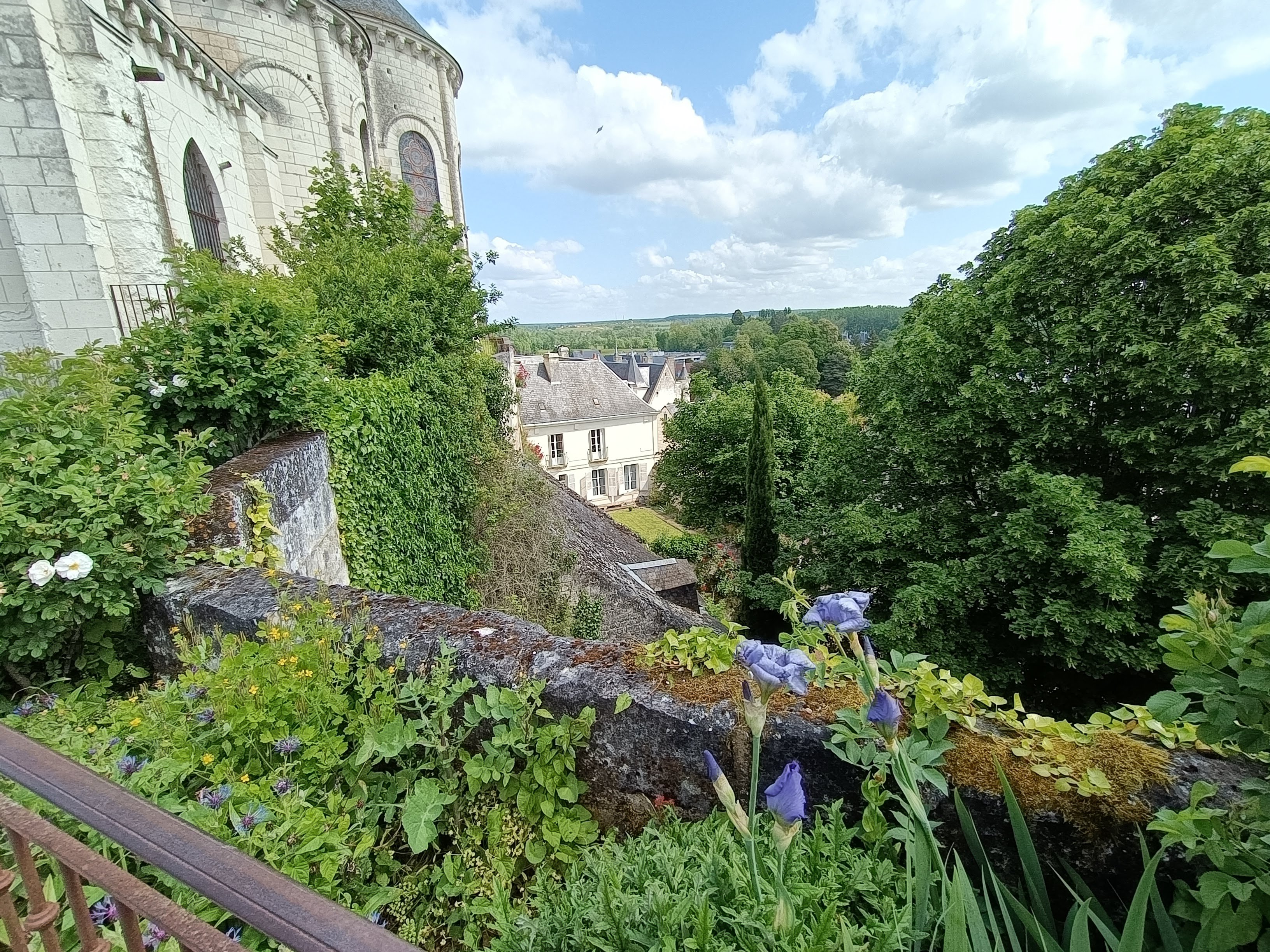 Photo n° 10 de l'avis de Patrick.i fait le 19/05/2023 à 06:13