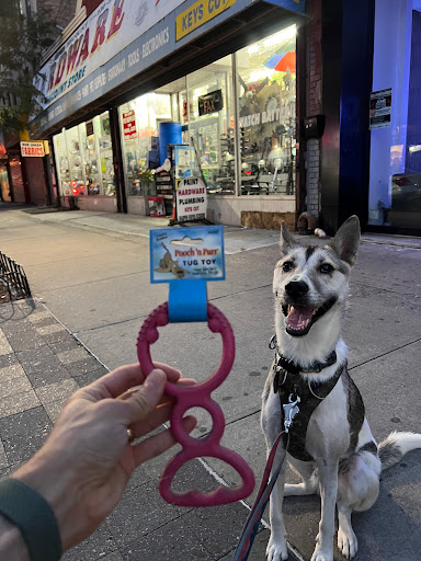 Hardware Store «MAD HARDWARE/DISCOUNT STORE», reviews and photos, 1308 Fulton St, Brooklyn, NY 11216, USA