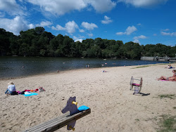 Plage Du Apremont'in fotoğrafı çok temiz temizlik seviyesi ile
