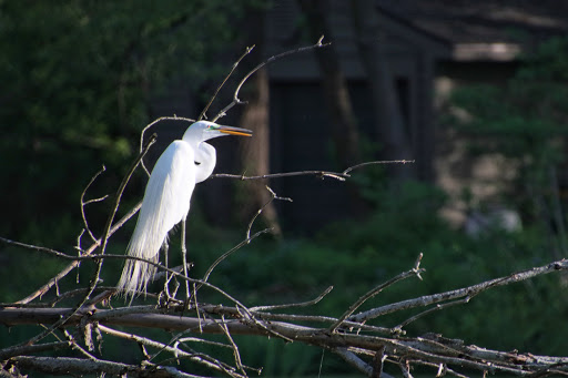 Nature Preserve «Hawthorne Hill Nature Center», reviews and photos, 28 Brookside Dr, Elgin, IL 60123, USA