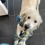 Photo n° 1 de l'avis de Anna.e fait le 11/07/2022 à 10:38 pour CLINIQUE VETERINAIRE LA BASTIDE à Léguevin