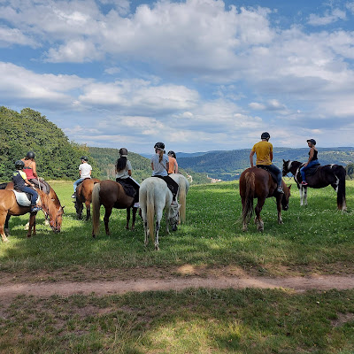 Equi'val - Maroquinerie / Balades et Randonnées à cheval à Le Tholy