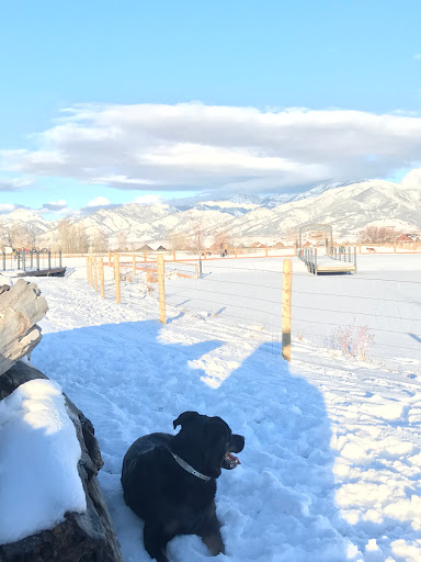 Animal Park «Dog Park At Gallatin County Regional Park (13 Acre w Pond)», reviews and photos, 3900 Baxter Ln, Bozeman, MT 59718, USA