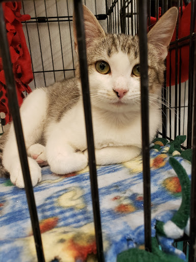 Pet Supply Store «Pet Supplies Plus», reviews and photos, 3733 Union Rd #200, Cheektowaga, NY 14225, USA