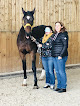 Déclic Equicoaching Cléry-Saint-André