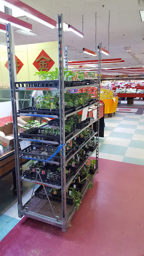Asian Grocery Store «Hong Kong Supermarket», reviews and photos, 265 New Jersey 18, East Brunswick, NJ 08816, USA