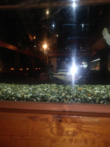 Caterer «Catfish City & BBQ Grill», reviews and photos, 1817 S University Ave, Little Rock, AR 72204, USA