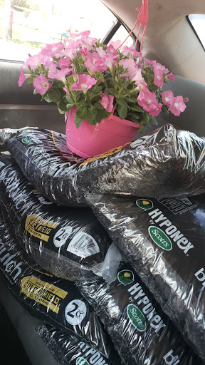 Department Store «Walmart Supercenter», reviews and photos, 419 Hwy 52 Bypass W, Lafayette, TN 37083, USA