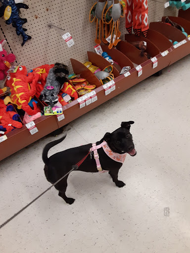 Pet Supply Store «PetSmart», reviews and photos, 5 Mystic View Rd, Everett, MA 02149, USA