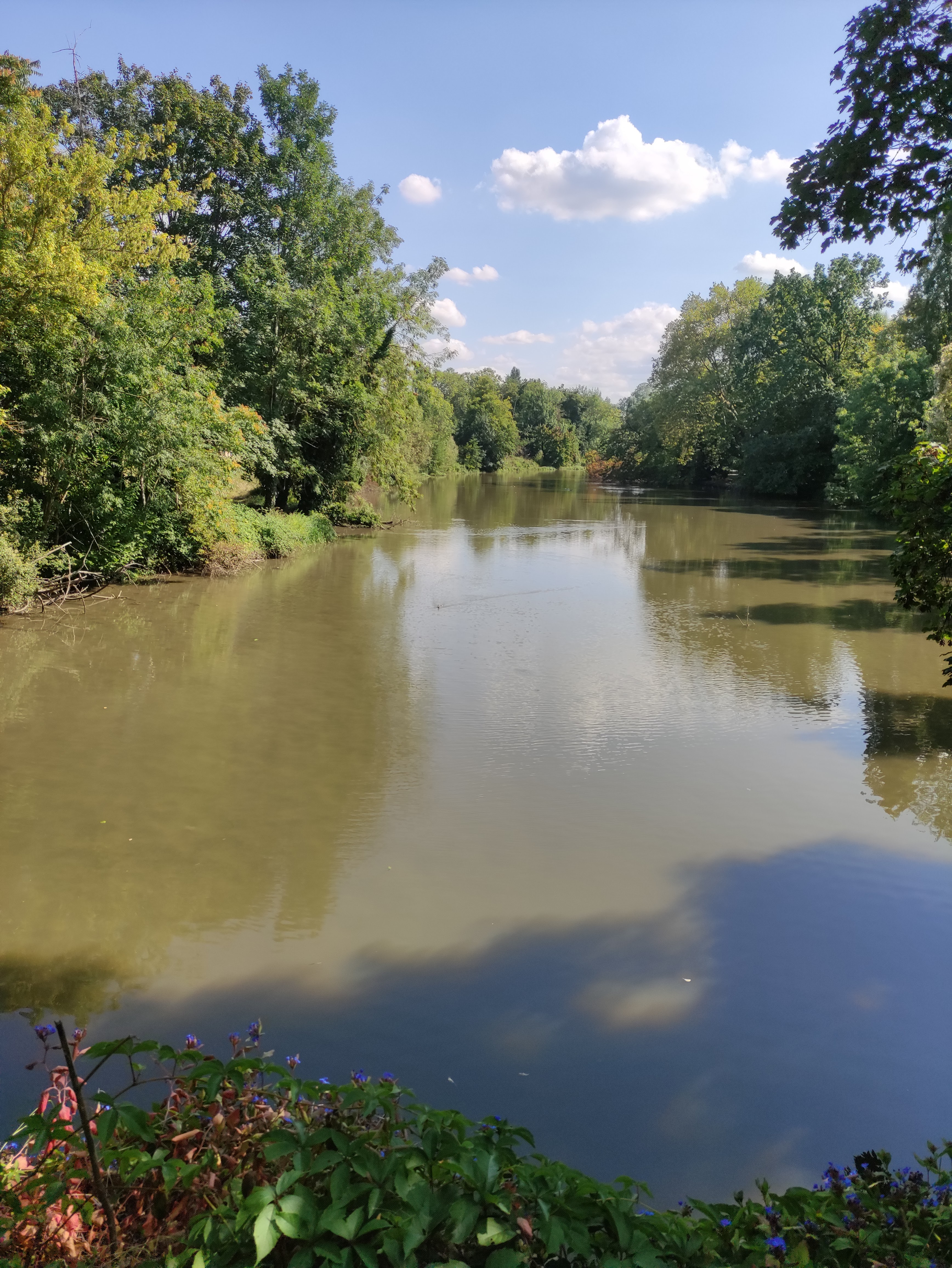 Photo n° 2 de l'avis de Naura.a fait le 04/09/2021 à 22:52