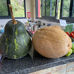 Photo n°4 de l'avis de Ann.l fait le 19/09/2023 à 14:50 sur le  Naibers à Curral das Freiras