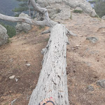 Photo n° 4 de l'avis de Valerie.n fait le 05/07/2022 à 13:46 pour Les Aiguilles De Bavella à Zonza