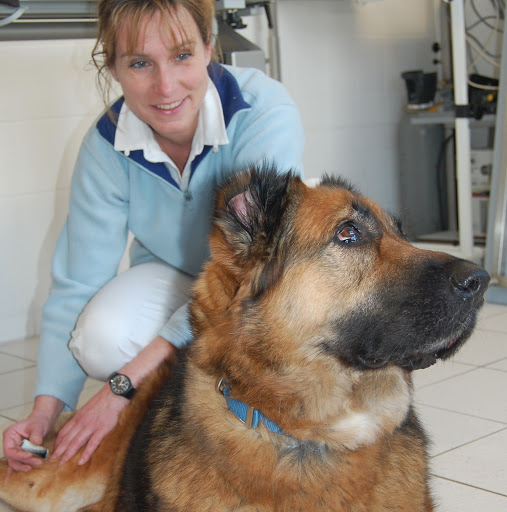 Dr.med.vet. Gabriela Bleßmann, ganzheitliche Tierarztpraxis unter Wolfratshausen, Bayern