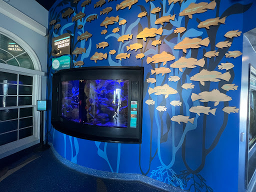 Aquarium «Roundhouse Aquarium», reviews and photos, Manhattan Beach Pier, Manhattan Beach, CA 90266, USA