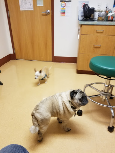 629 SE Madison St, Albany, OR 97321, USA