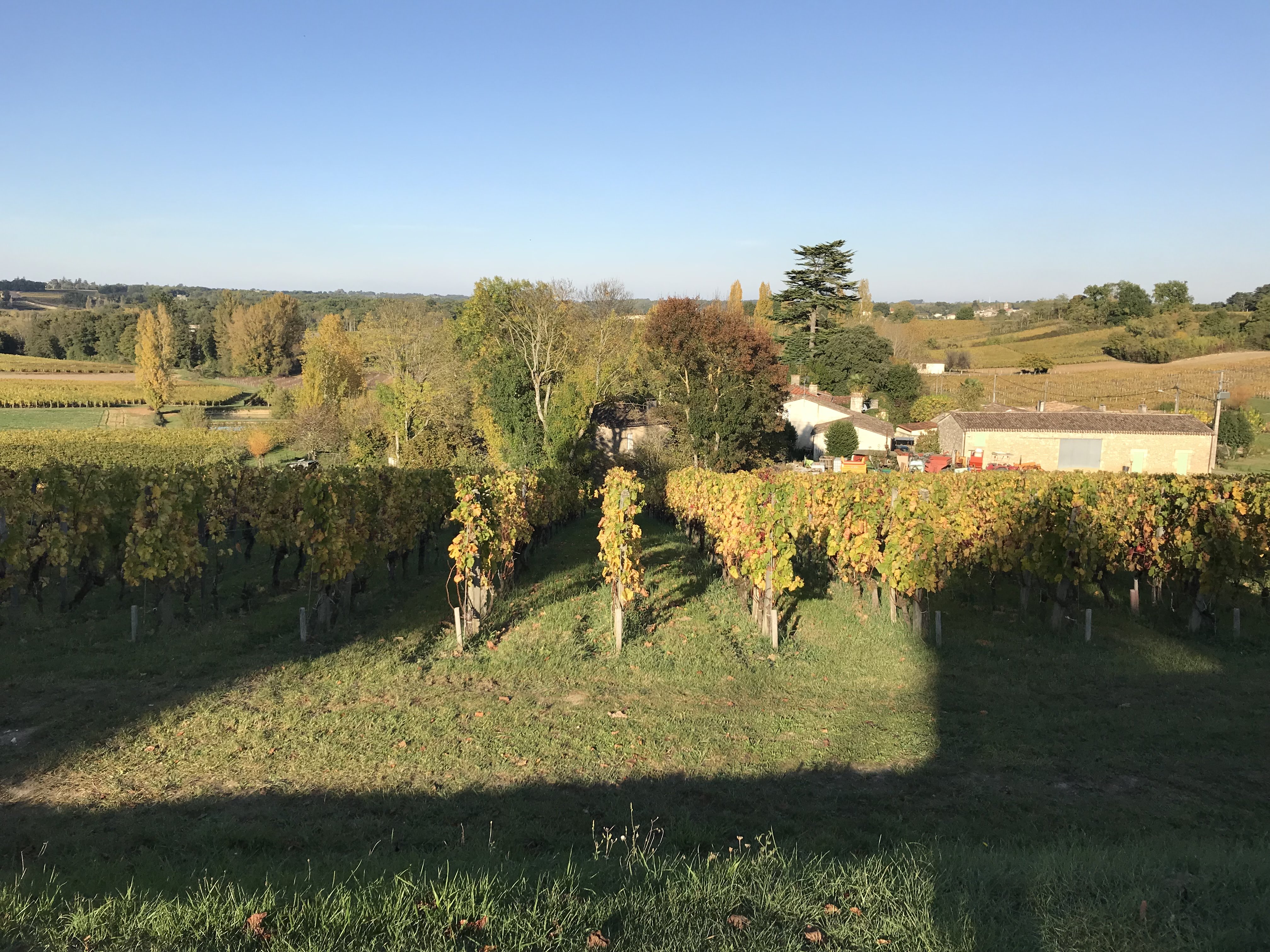 Photo n° 6 de l'avis de Keisuke. fait le 29/10/2017 à 20:42