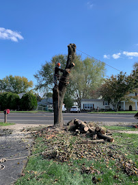 Martin Brothers Landscaping,LLC - Photo 4 - Car repair in , Trenton