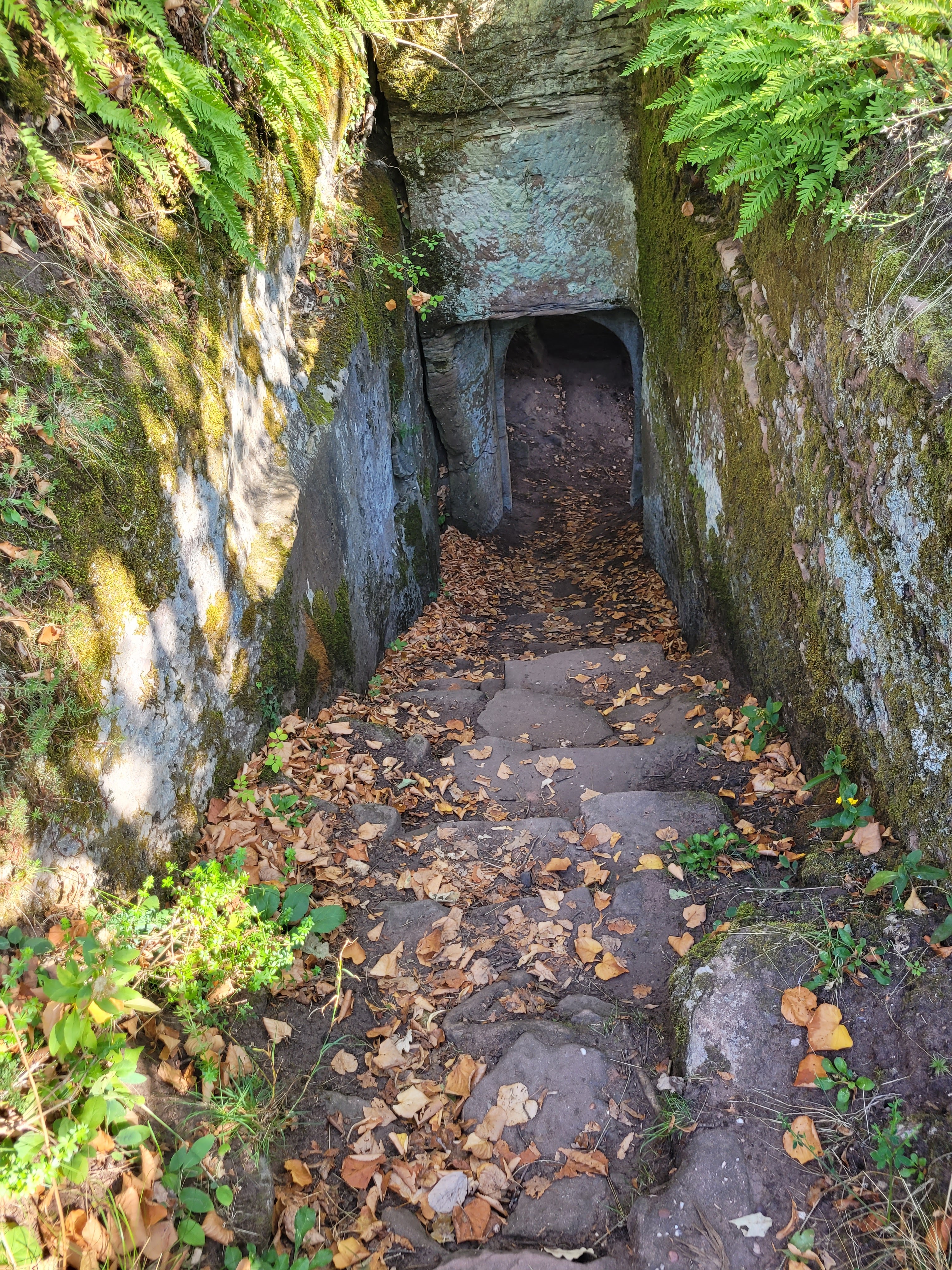 Photo n° 4 de l'avis de Michael.i fait le 28/09/2023 à 10:29