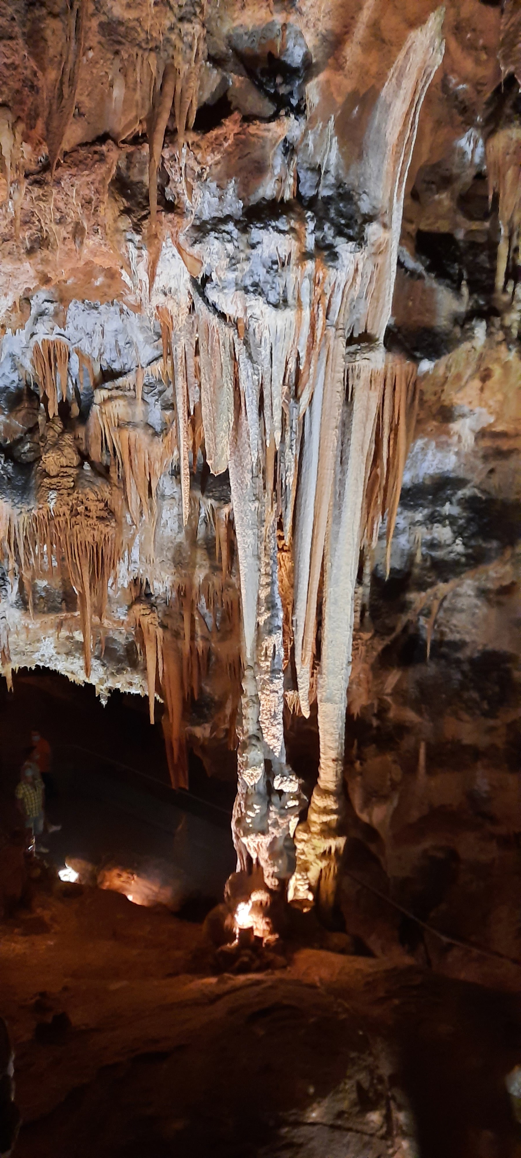 Photo n° 3 de l'avis de Marie.a fait le 05/07/2020 à 15:15