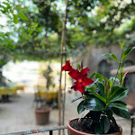 Photo n°3 de l'avis de Helmut.. fait le 07/04/2024 à 20:16 sur le  Hotel Umbra à Assisi