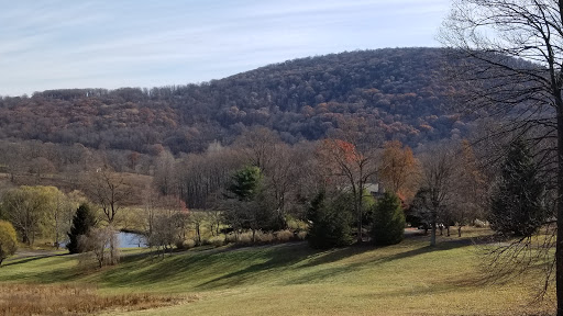 Vineyard «Linden Vineyards», reviews and photos, 3708 Harrels Corner Rd, Linden, VA 22642, USA