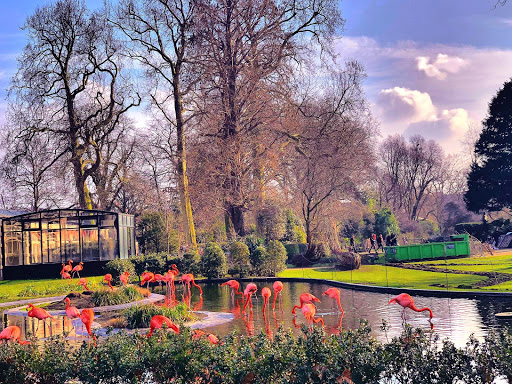 Beautiful parks in Antwerp