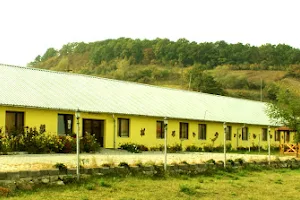 Hostel "Doua Salcii" image