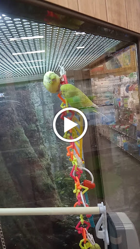 Pet Supply Store «Petco Animal Supplies», reviews and photos, 839 New York Ave, Huntington, NY 11743, USA