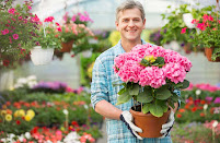 Salt Lake City Yard Care - Photo 2 - Car repair in South Jordan, UT, West Jordan