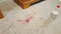 Perfect Image Carpet Cleaning - Photo 7 - Car repair in , Sterling Heights