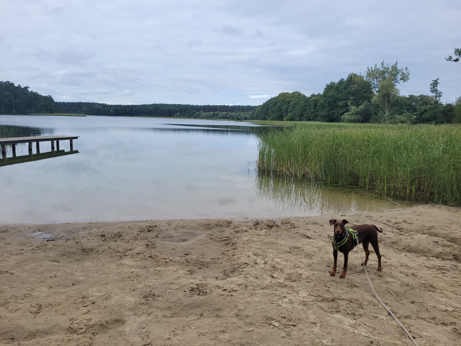 Photo de Badestelle Bergsee avec un rivage droit