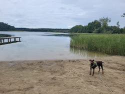 Photo de Badestelle Bergsee avec un rivage droit