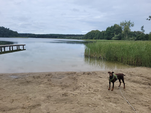 Badestelle Bergsee photo #2
