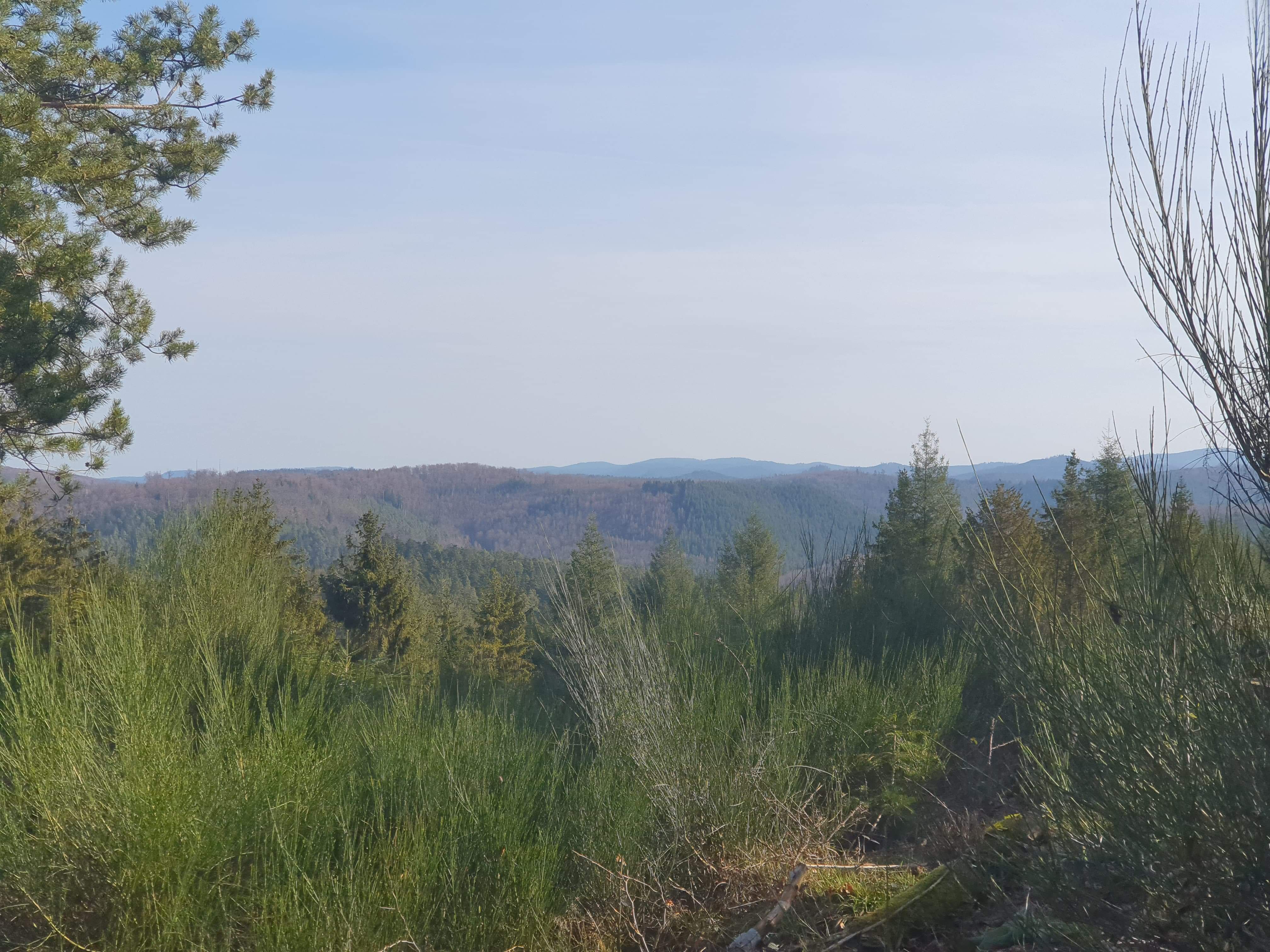Photo n° 2 de l'avis de Magalie.a fait le 10/02/2020 à 19:38